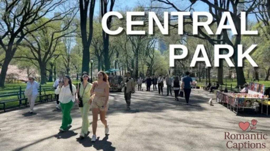 Central Park Captions