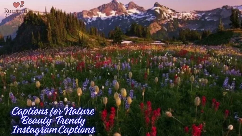 Captions for Nature Beauty Trendy Instagram Captions