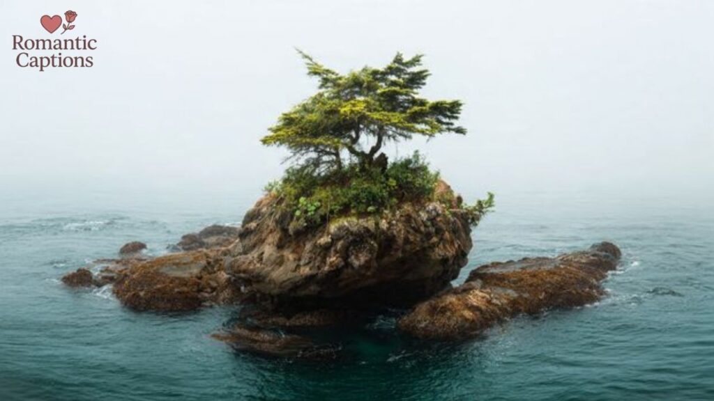 Funny Nature Captions for Instagram