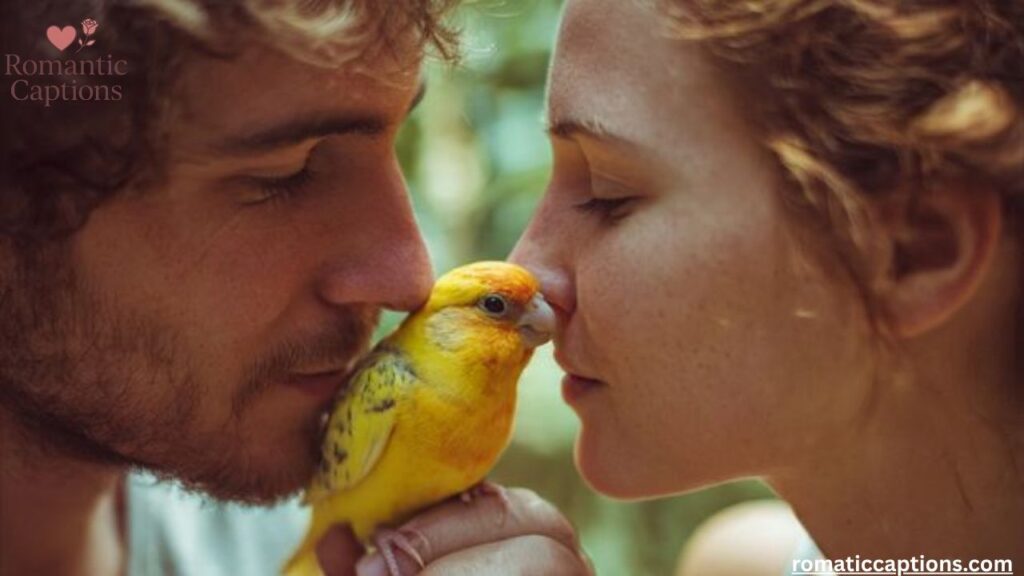 Romantic SPH Captions for Lovebirds