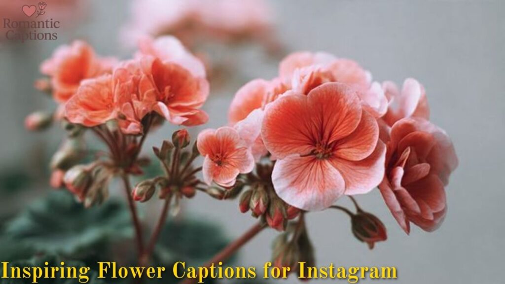 Inspiring Flower Captions for Instagram