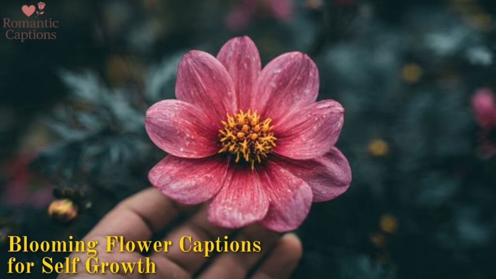 Blooming Flower Captions for Self Growth